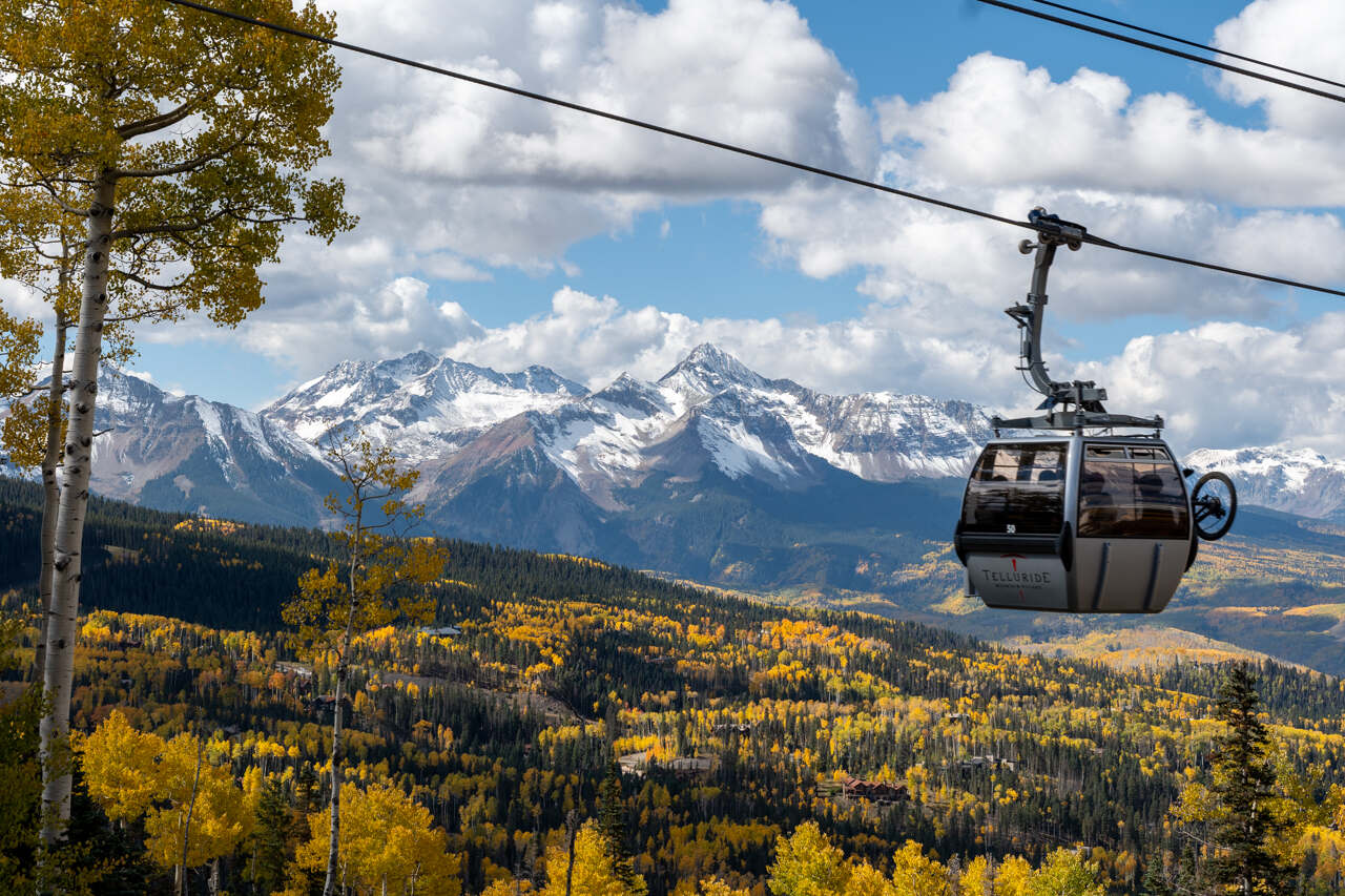 Autumn gold aspens along the Telluride gondola — Film Festival season