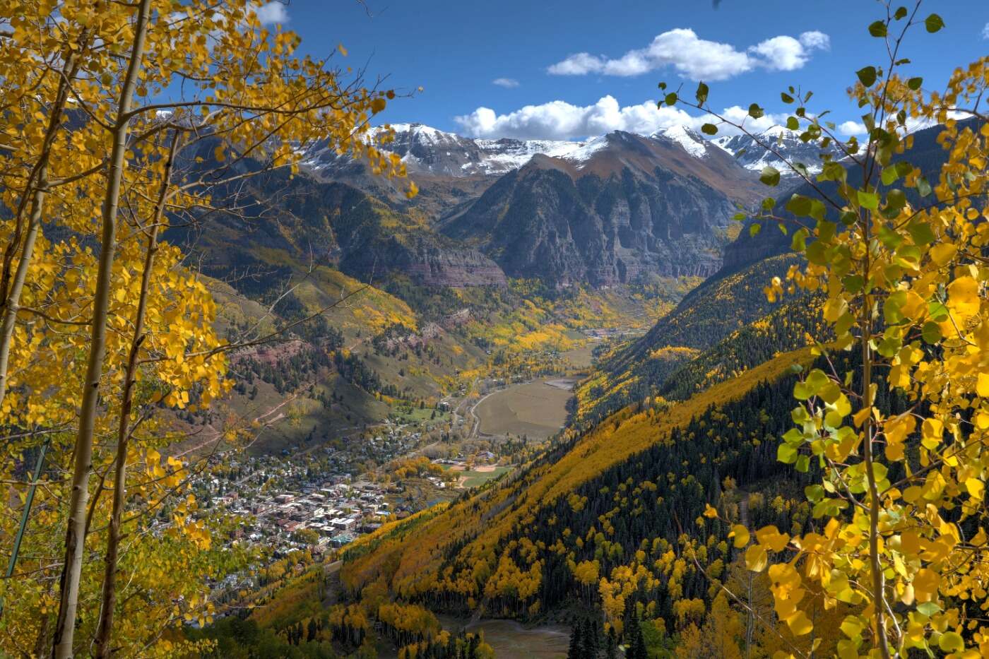 Summer in the Telluride valley — wildflowers and Bluegrass Festival season